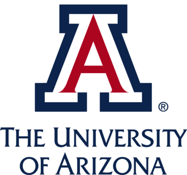 The University of Arizona nursing assignment help